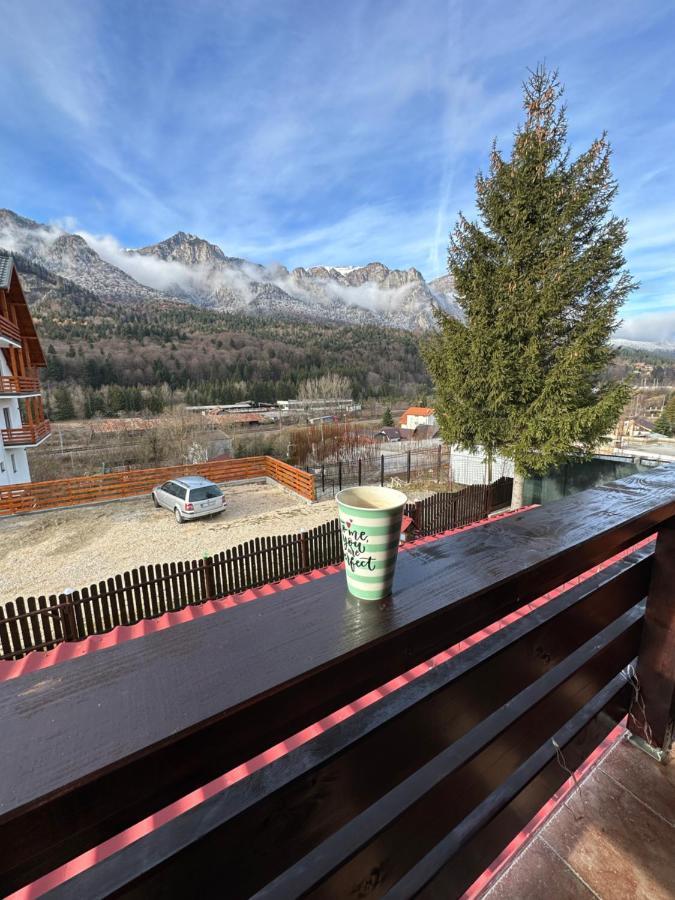 Casa Rares Buşteni Exteriér fotografie
