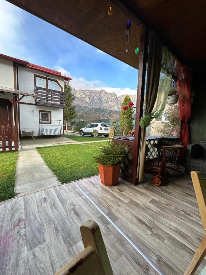 Casa Rares Buşteni Exteriér fotografie